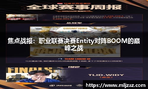 焦点战报：职业联赛决赛Entity对阵BOOM的巅峰之战